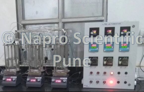 Napro Fully Automatic Borosil Glass Parallel Bioreactors Set