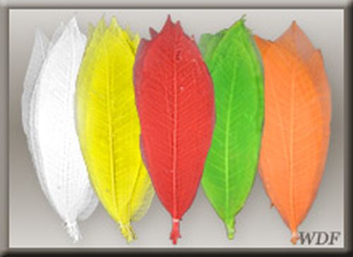 Mulit Colour Antique Decorative Long Leaf Net Leaves, Size : All Sizes