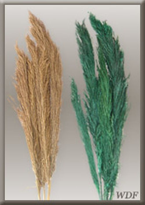 Decorative Pampas Grass, Style : Artificial