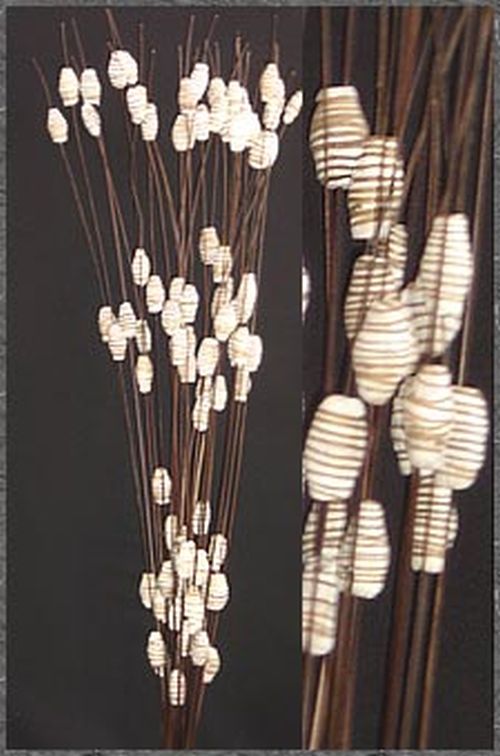 Decorative Sola Pine Stick