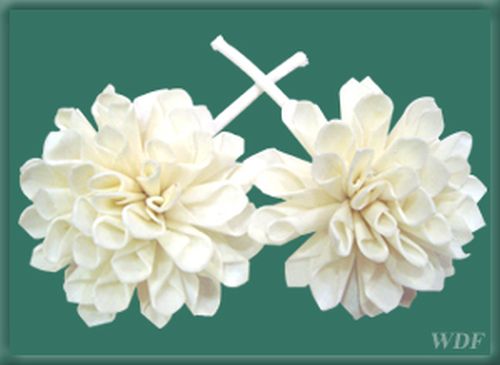 Sola Flowers, For Decoration, Gifting, Color : White