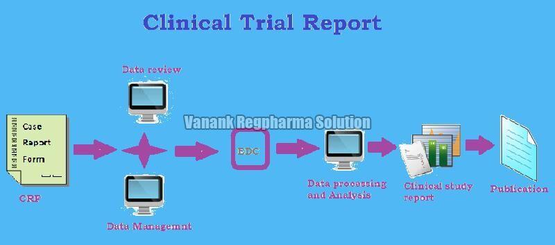 Clinical Trial Report Preparation Services