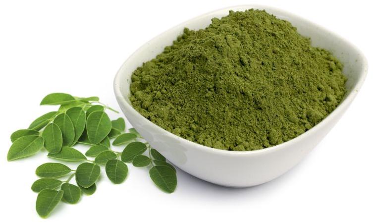 Organic Moringa Leaf Powder, for Medicinal Use