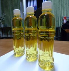 Refined palm oil, Packaging Type : Plastic Container