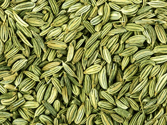 fennel seeds