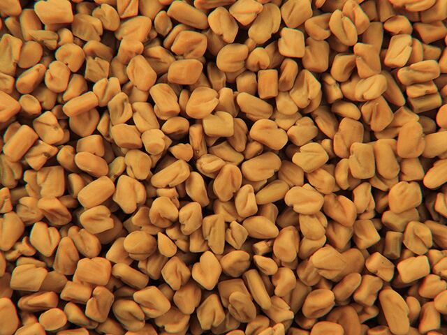 fenugreek seeds