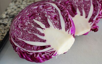 red cabbage