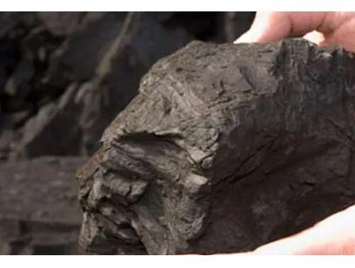 Brown Lignite Coal, Form : Solid