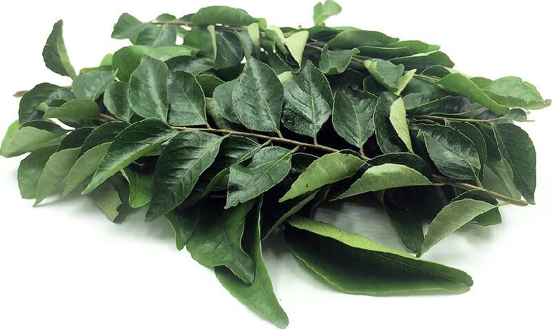 Organic curry leaves, Packaging Type : Loose, Plastic Box, Plastic Packet