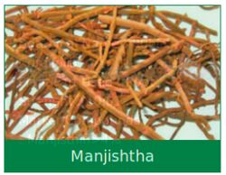 Manjishtha Dry Extract