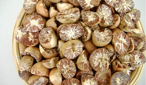 Raw Organic Areca Nuts, Style : Dried