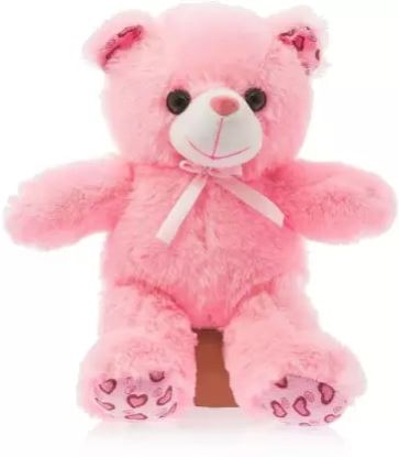 Pink Teddy Bear Soft Toy