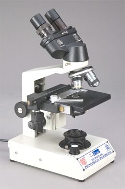 Binocular Pathological Microscope