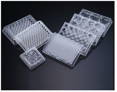 PVC Transparent Elisa Plate, Size : 85.4 X 127.6 X 14.4 Mm