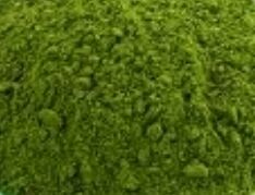 moringa leaf powder