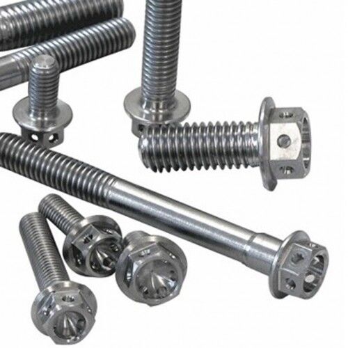 Stainless Steel Hexagonal Bolt Nut