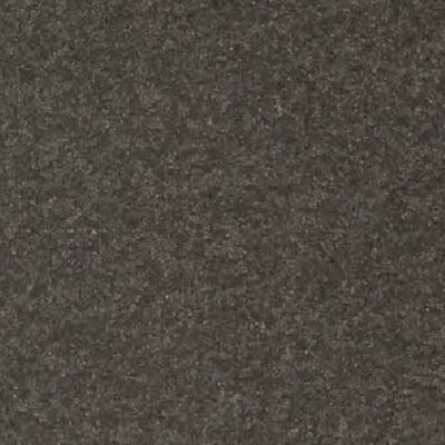 Absolute black honed Black Granite