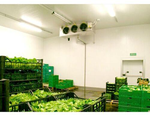 Vegetable cold storage, Voltage : 230 / 440 VAC