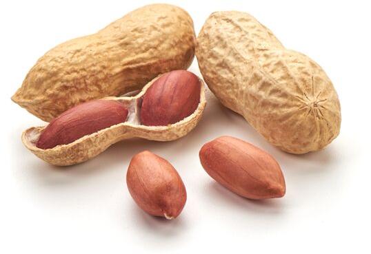 Peanut, for Direct Consumption, Home, Feature : Fine Taste, Non Harmful, Optimum Quality, Protein Source