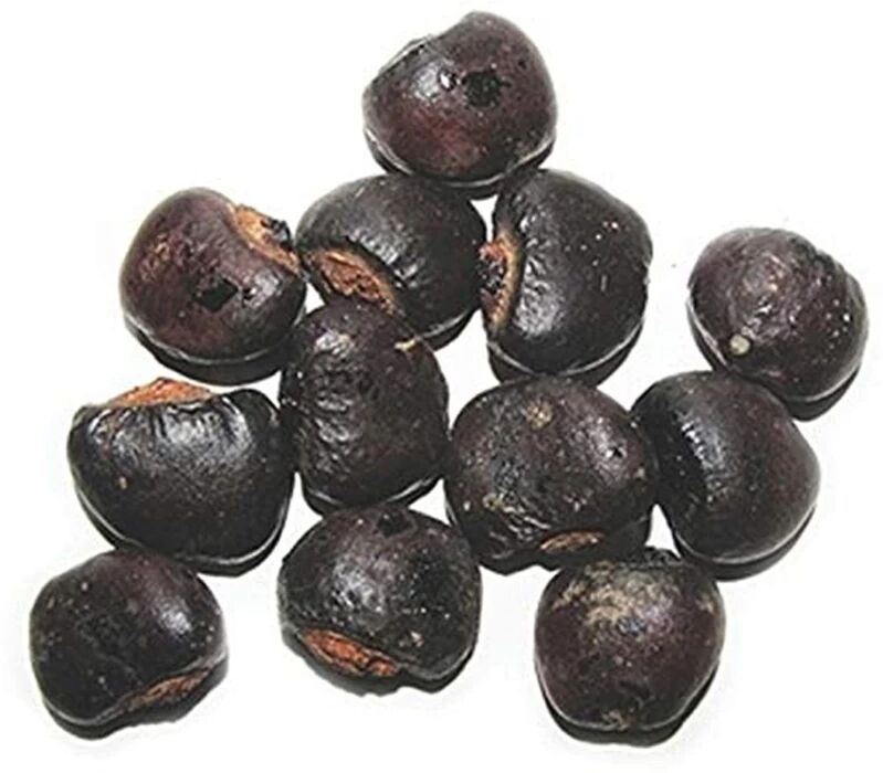 Natural Bhilawa Seeds, for Medicine Use, Packaging Type : Gunny Bag, Plastic Packets