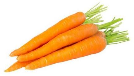 Natural Fresh Carrot, For Food, Taste : Delicious