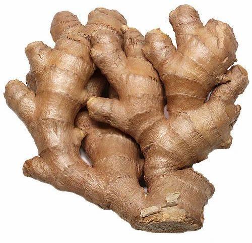 fresh ginger