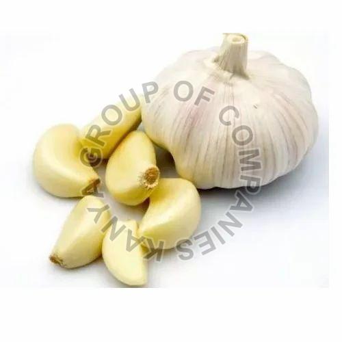 Organic Fresh Garlic, For Cooking, Packaging Type : Gunny Bags