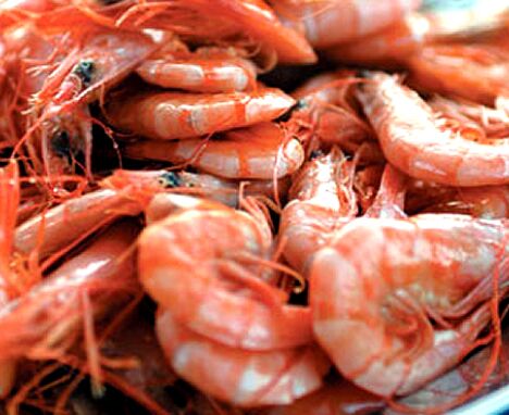 Caramote Prawn, Feature : High In Protein