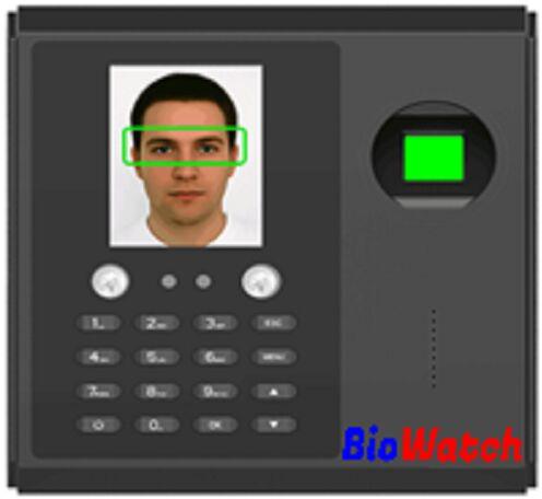 Rectanguar BioWatch Bioface102, for Security Purpose, Voltage : 12volts