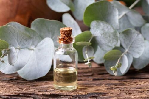 Eucalyptus oil, for Cosmetics