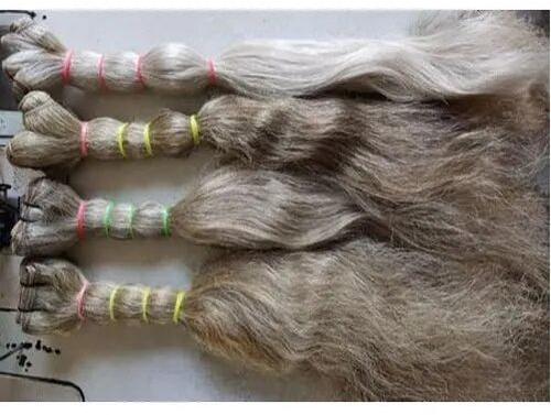 R2R Export Wavy grey hair extension, for Parlour Personal, Gender : Women