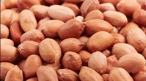 Triz Agriland Redskin Peanuts, Packaging Type : PP Bag