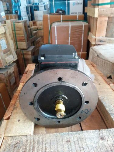 Cast Iron Silver Induction Motor