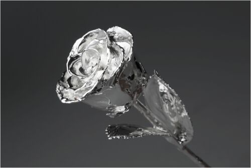 Polished Acrylic Crystal Rose, for Decoration, Packaging Type : Paper Box, Paper Bunch, Plastic Bunch