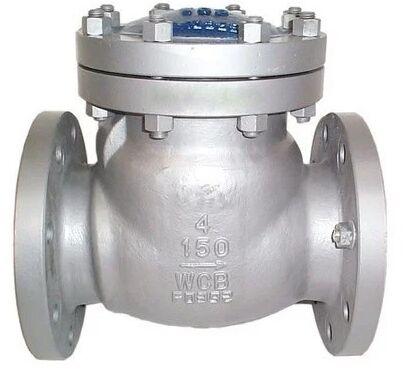 Stainless Steel Non Return Valves