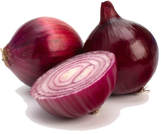 Organic A Grade Red Onion, For Cooking, Packaging Type : Net Bag