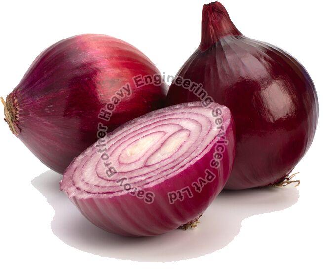 Dry 50 KG A Grade Fresh Red Onion, Net Bag, Onion Size Available: Medium