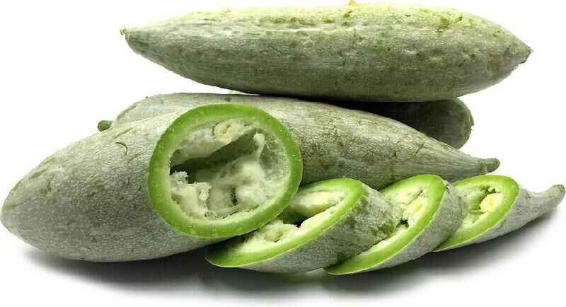 Fresh Snake Gourd