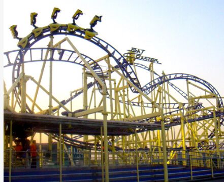 Bat Roller Coaster
