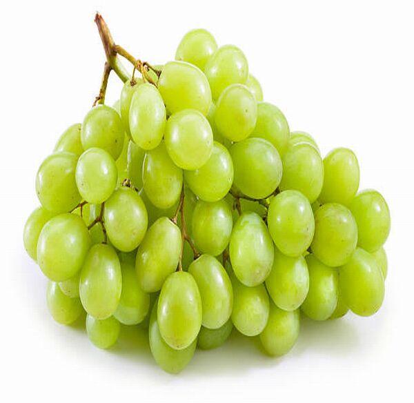 Natural Green Grapes, for Human Consumption, Packaging Type : Plastic Box
