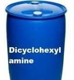 di cyclohexyl amine