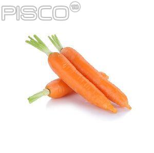Organic Fresh Carrot, for Food, Juice, Pickle, Packaging Type : PP Bags