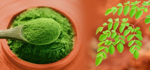 Natural Moringa Leaf Powder, Grade : Medicine Grade