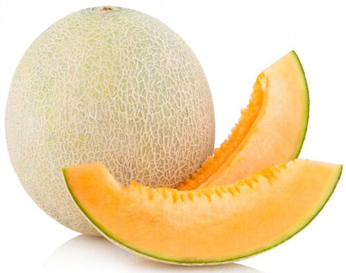 fresh muskmelon