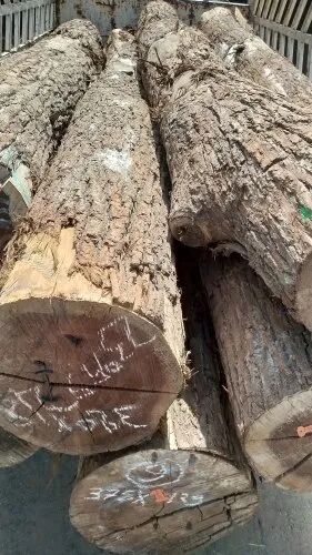 Walnut wood Logs, Shape : Round