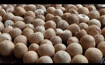 Organic areca nut