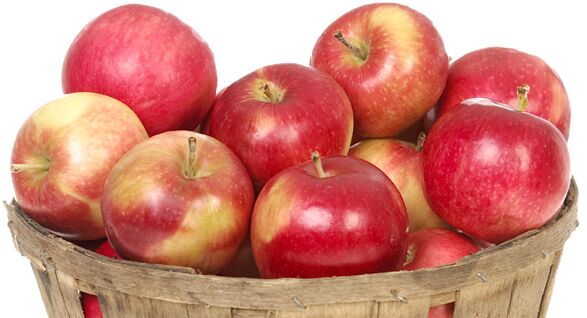 Organic fresh apple, Color : Red