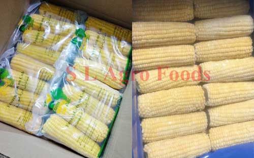 Light Yellow Frozen Sweet Corn On Cob, for Cooking, Bakery