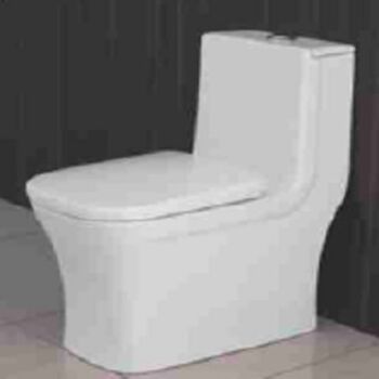 Ceramic sanitaryware, Feature : Concealed Tank, Dual-Flush