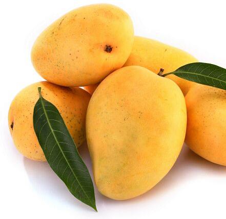 fresh mango